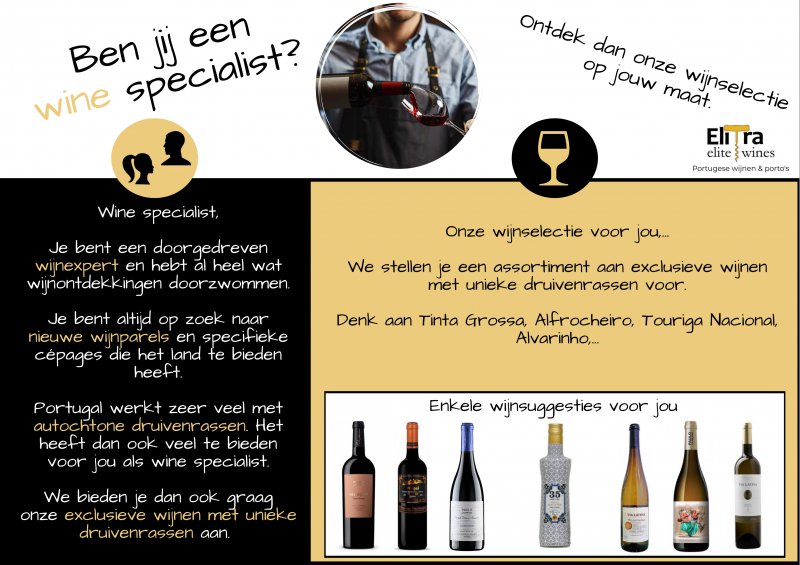 wine-specialist-website