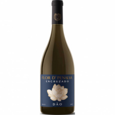 Flor de Penalva reserva 2024