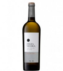 Pinta Negra reserva branco  2024